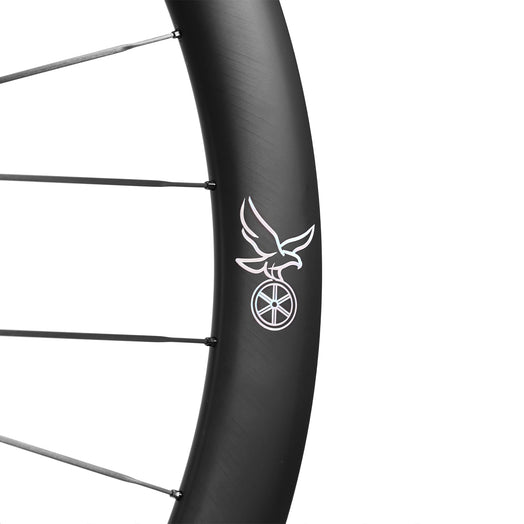 ICAN Aeris 50 disc carbone spoke wheelset 45T ratchet