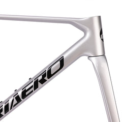 ICAN Flyee road bike disc frame