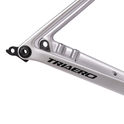 ICAN Flyee road bike disc frame